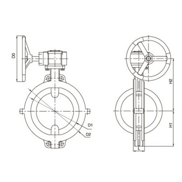 Fluoringefütterte Wafer-Absperrklappe